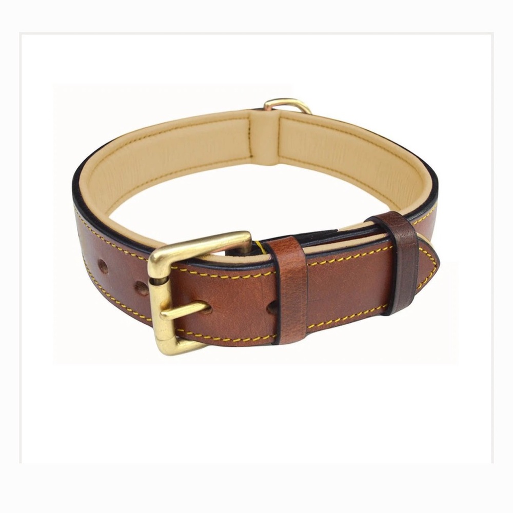 Dog collar with Gold Buckle